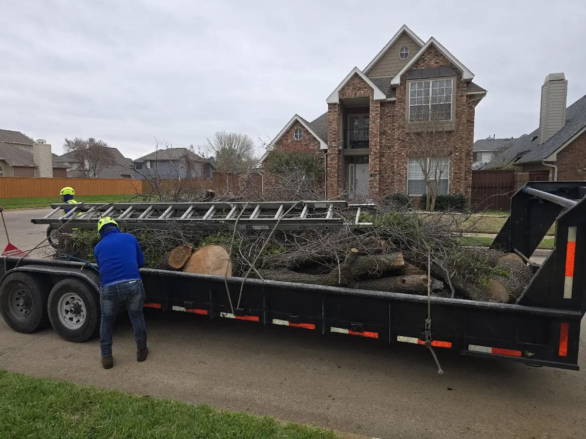 Expert Lot Clearing with proper safety equipment in Saint Marys